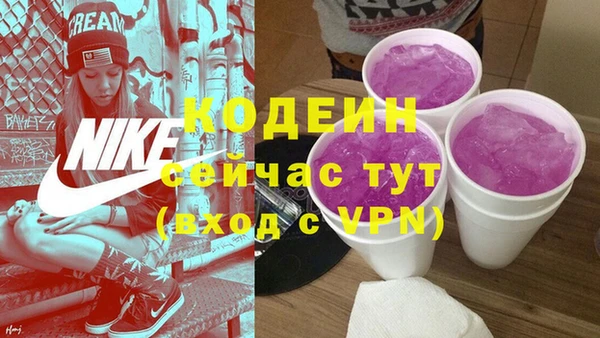 дживик Заводоуковск