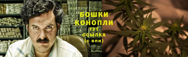 дживик Заводоуковск