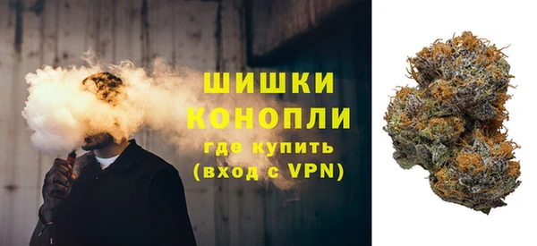 дживик Заводоуковск