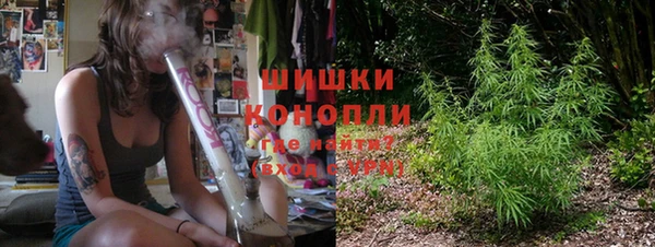 дживик Заводоуковск